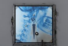 Lorde, fija su nueva cita en nuestro país