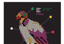 Sonido Gallo Negro y Sonido La Changa desatan “La Cumbia Del Gallo Negro”