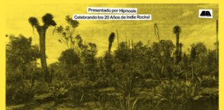 Mac DeMarco en México celebrando los 20 años de Indie Rocks! Magazine