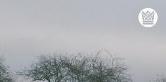 Homer continúa revelando su próximo disco con “The Tall Green”