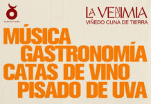 La Vendimia Cuna de Tierra: Tradición, vino, gastronomía y Moenia