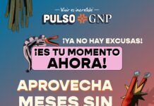 Pulso GNP ofrece boletos a Meses sin intereses