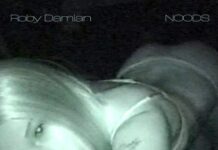 Roby Damian comparte el tema “Noods”