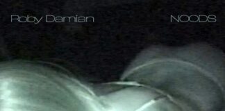 Roby Damian comparte el tema “Noods”