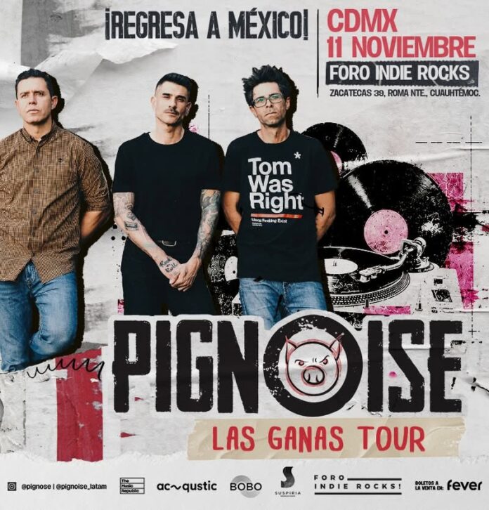 pignoise-foro-ir
