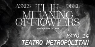 Agnes Obel, anuncia fecha en el Teatro Metropólitan