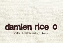 Damien Rice confirma su llegada a cdmx como parte de la celebración global de O